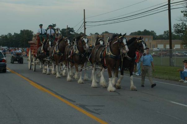 Twilight Parade